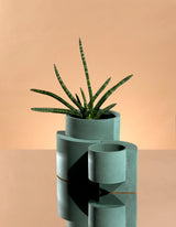 Platform Planter Set