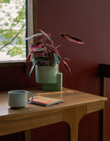 Platform Planter Medium - Polished Concrete