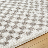 Birmingham Checkered Rug