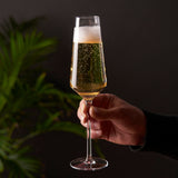 Raye Angled Crystal Champagne Flutes , S/2