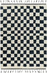 Mirela Rug in Checkered Fringe