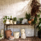BLOOMIST
