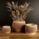 MODERNIZED POTTERY