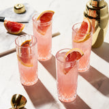 Viski Highball
