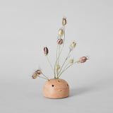 Terra Cotta Frog Vase