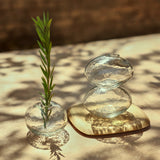 Natura Vases Set of 3