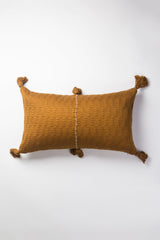 Antigua Pillow in Umber Stripe