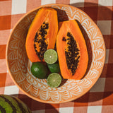 Hand Painted Lebrillo Large Bowl, Peach