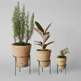 Terracotta Studio Planter, Greenwash