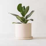 8" Minimal Planter | Raw Stoneware