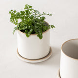 4" Minimal Planter | Stoneware