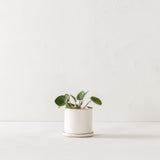 4" Minimal Planter | Stoneware