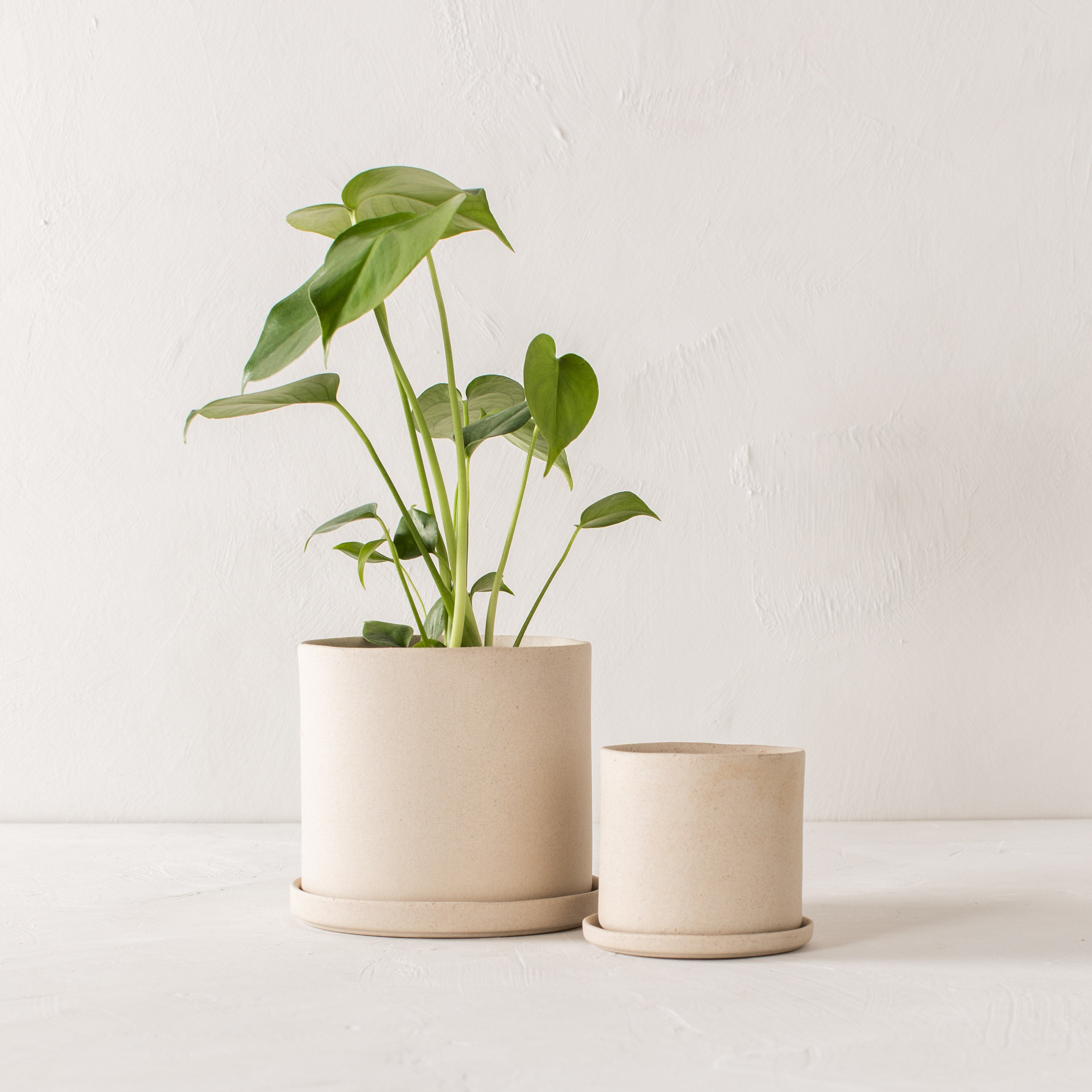 6" Minimal Planter | Raw Stoneware