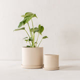 6" Minimal Planter | Raw Stoneware