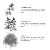 Embers + Leather | Vetiver + Cedar + Patchouli