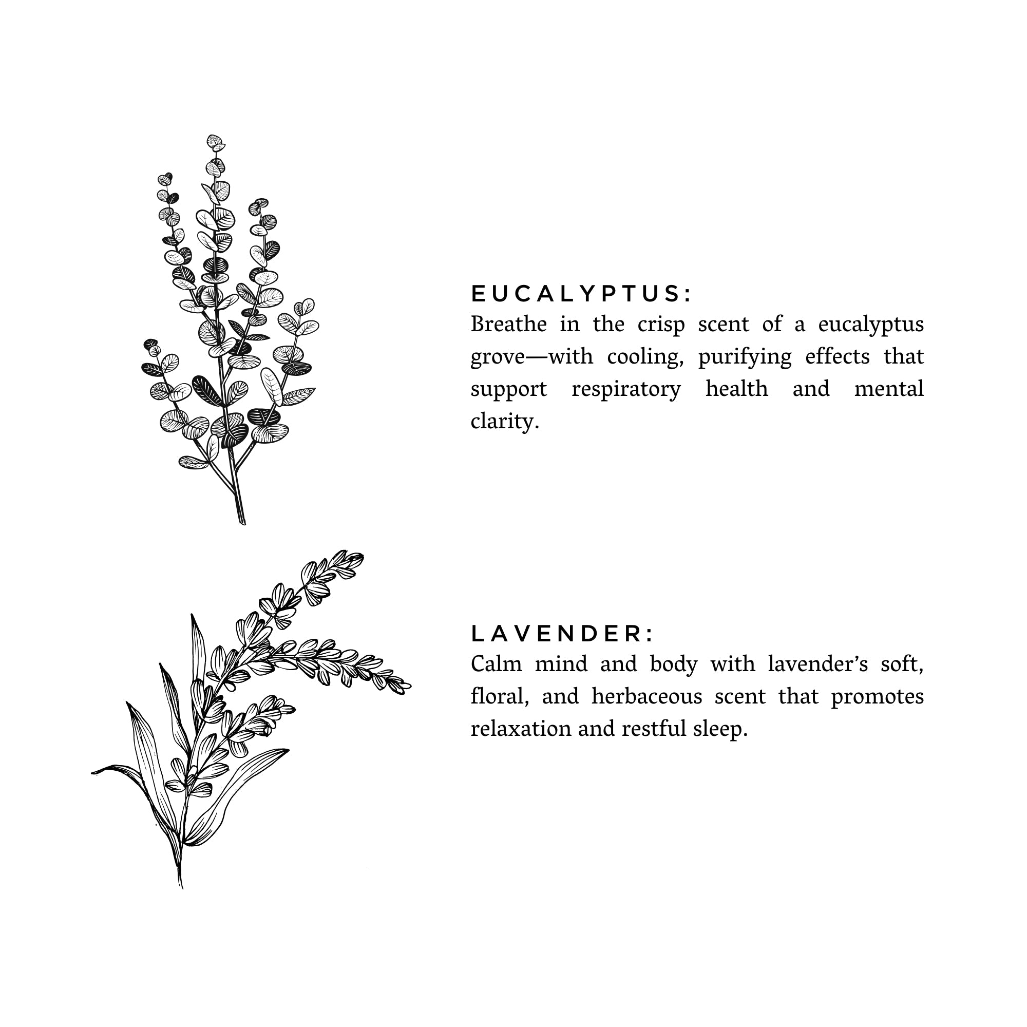 Linen Spray | Eucalyptus + Lavender