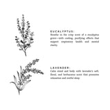 Linen Spray | Eucalyptus + Lavender