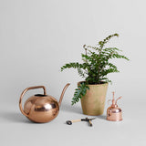 Greenwash Terracotta Studio Planter