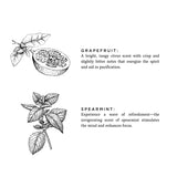 Linen Spray | Grapefruit + Spearmint