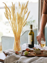 Kira Stemware Chalice Set, S/4