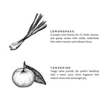 Linen Spray |  Lemongrass + Tangerine