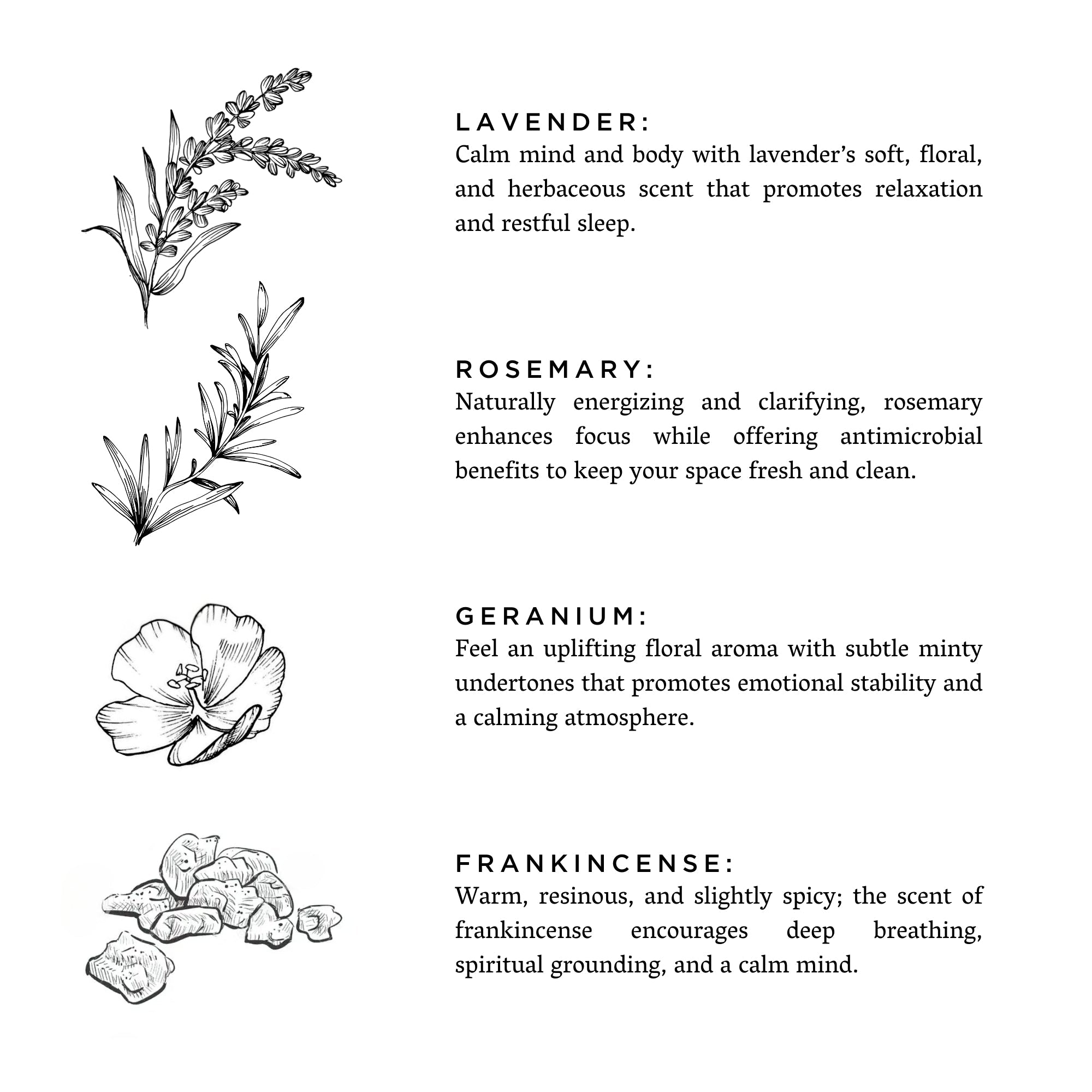 Midnight Garden | Lavender + Rosemary + Geranium
