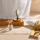 Mr. & Mrs. Night Water Set | Short