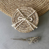 Tallo de Olivo Spiral Coaster (Set of 4)