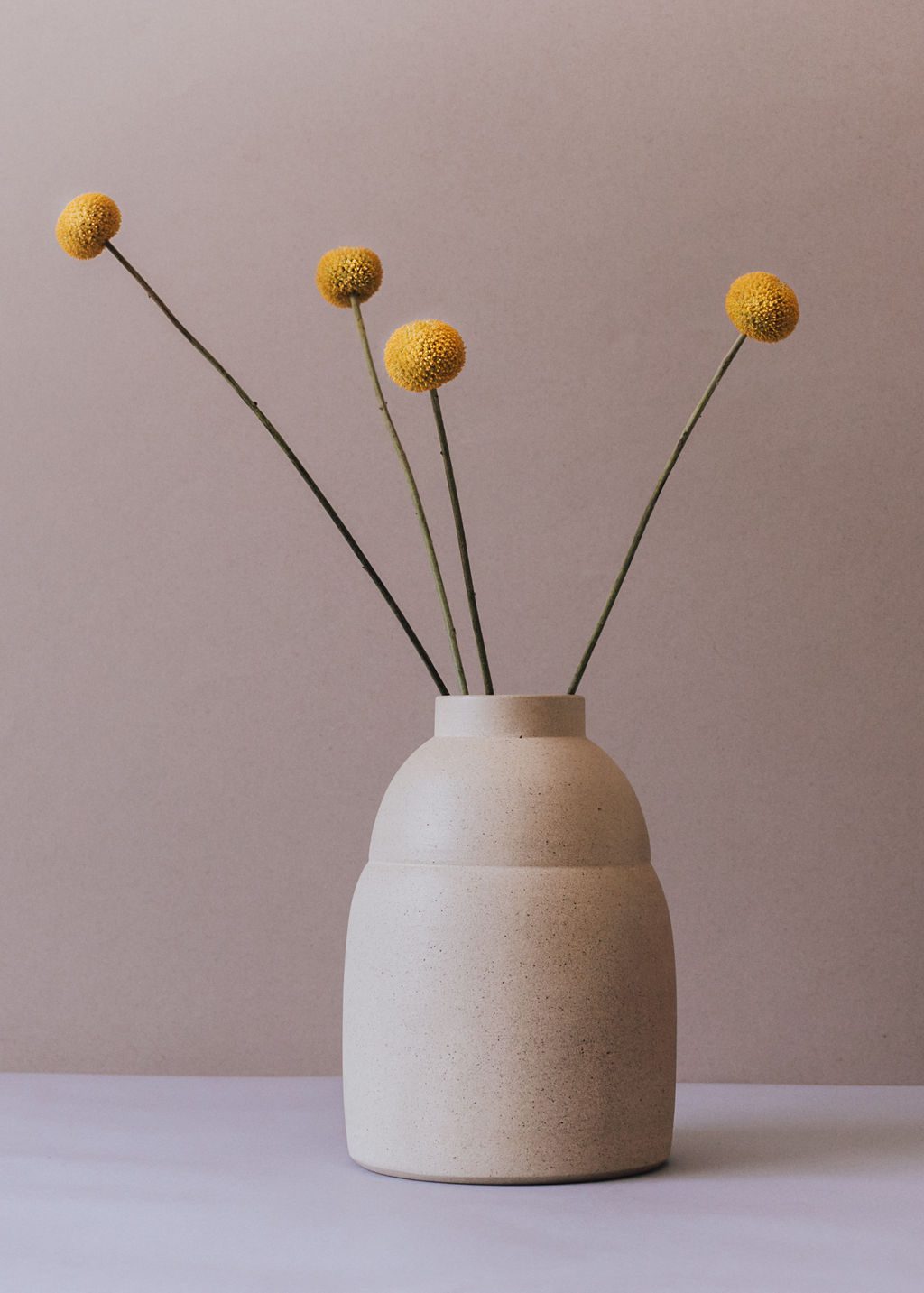 Chubby Vase in Terracotta Claro