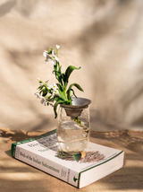 Floral Propogate Vase Set (Set of 3)