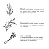 Shangri-La | Eucalyptus + Lavender + Lemongrass
