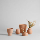 Terra Cotta Frog Vase