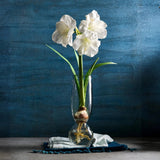 Pebbled Glass Bulb Vase