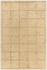 Beni Moroccan Rug in Windowpane