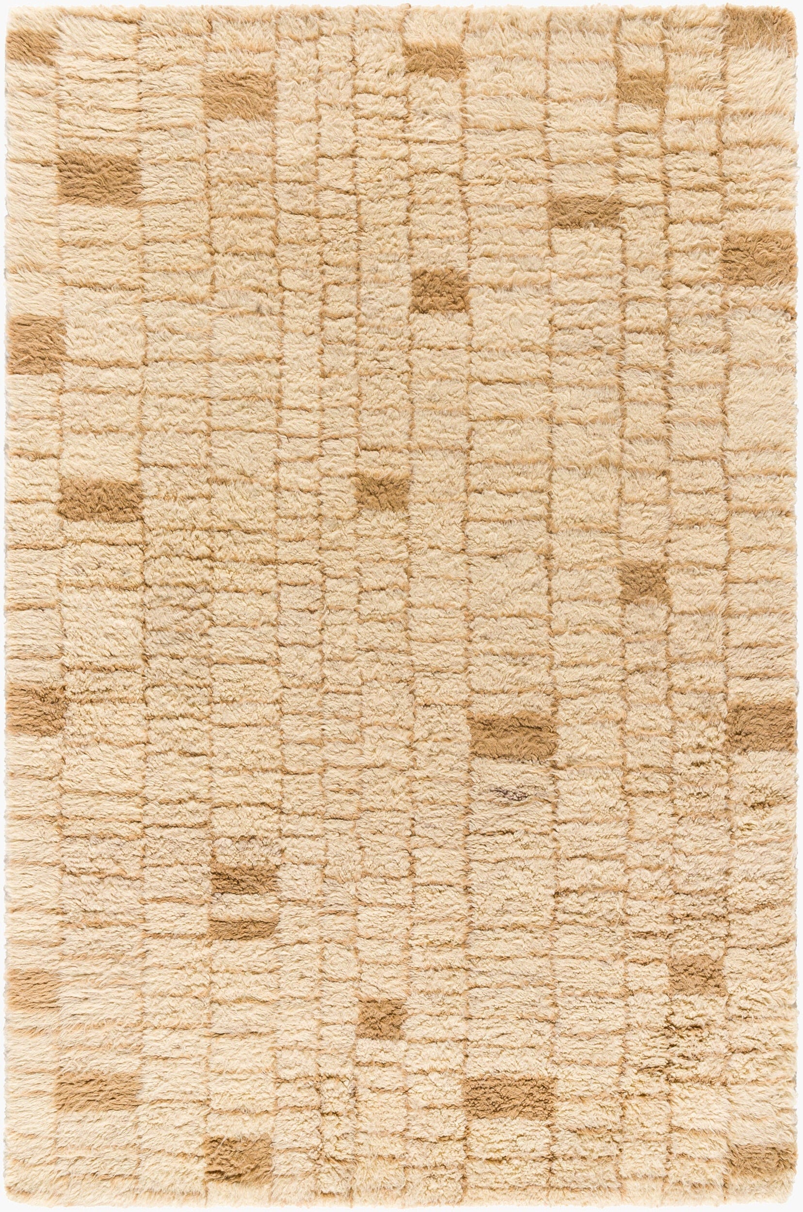 Beni Moroccan Rug in Warm Patterned