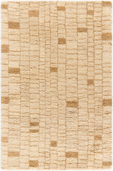 Beni Moroccan Rug in Warm Patterned