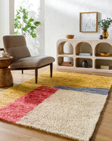 Beni Moroccan Rug in Colorblock