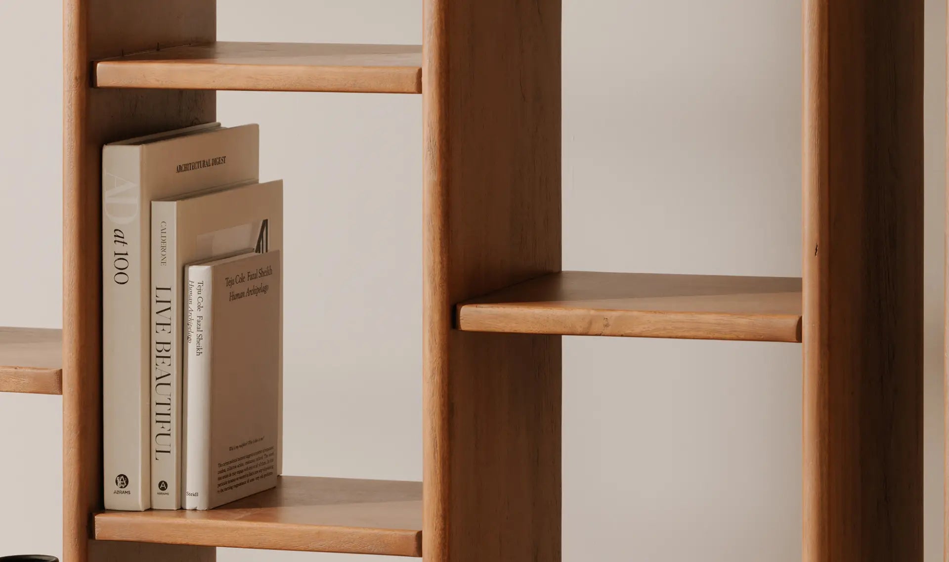 Orson Bookcase in Brown