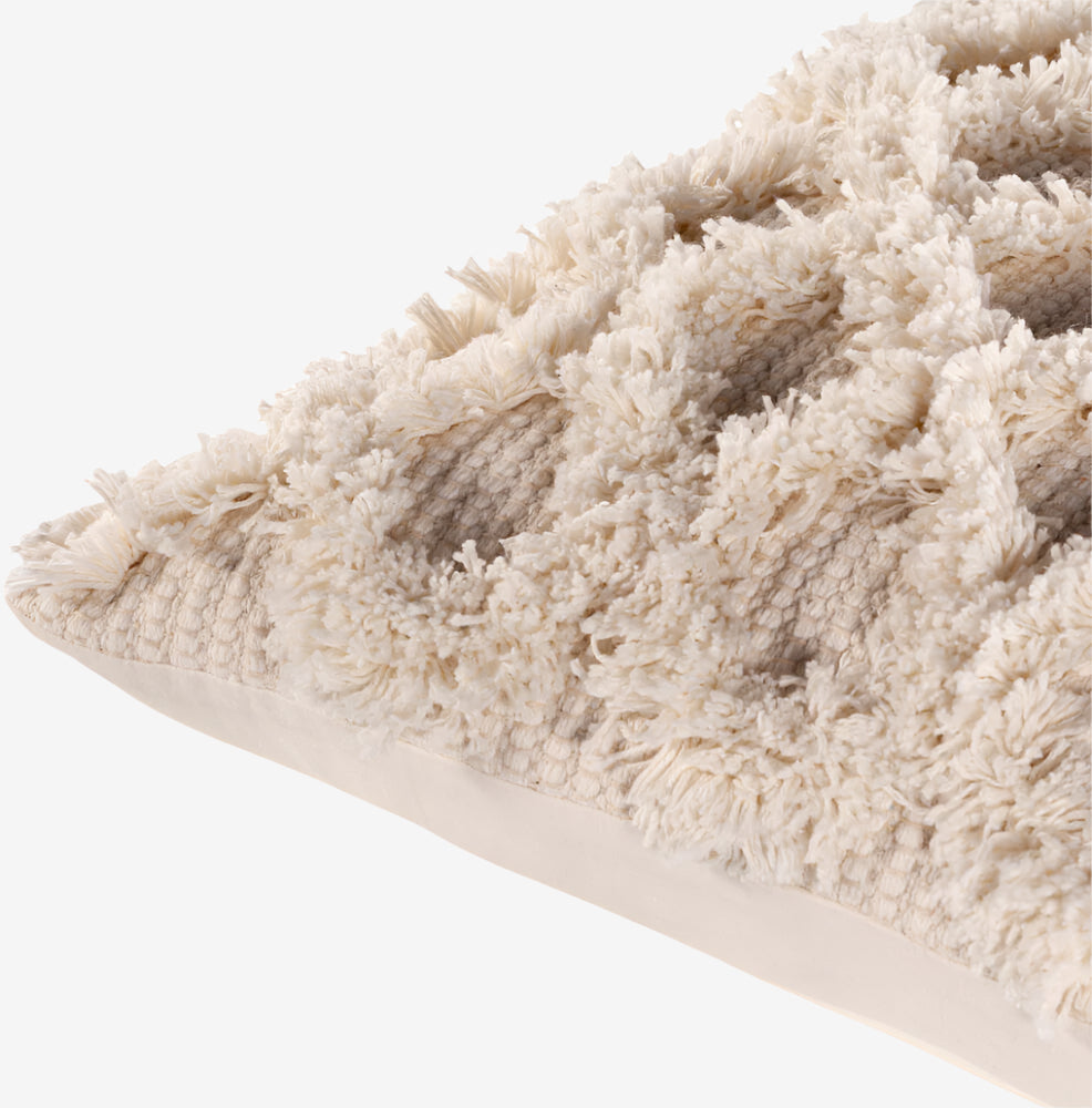 Edric Fringe Pillow in Beige