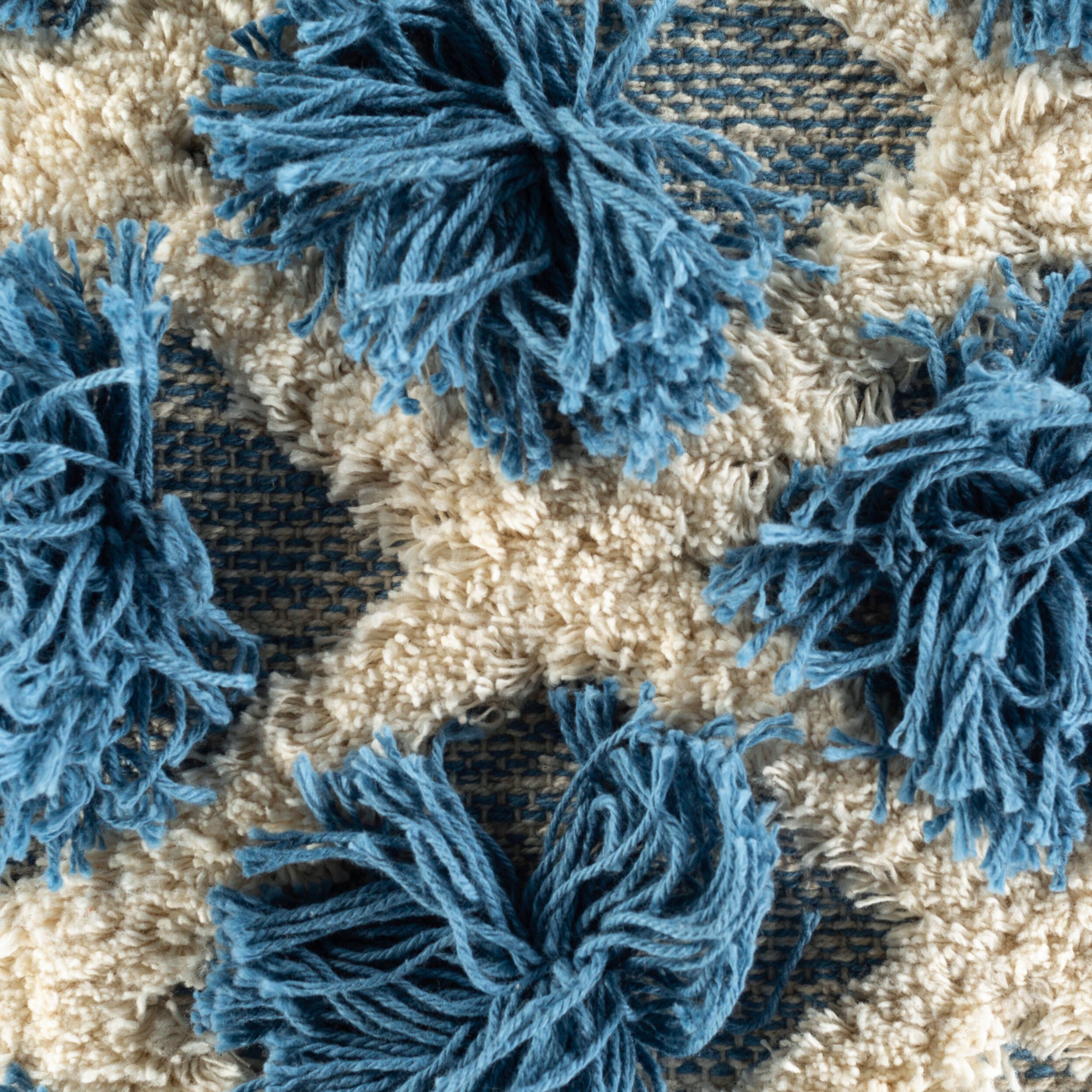 Edric Fringe Pillow in Blue