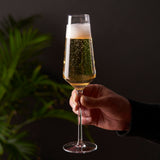 Raye Angled Crystal Champagne Flutes Set of 2