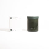 The Explorer  |  Ginger, Cedar, Sandalwood