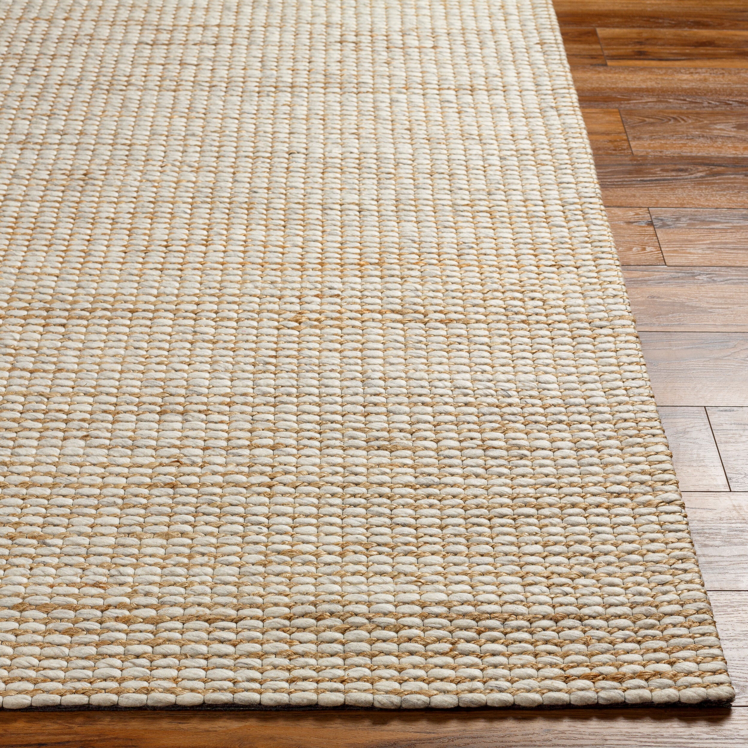 Priya Hand Woven Rug