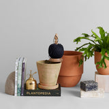 Terracotta Studio Planter, Greenwash