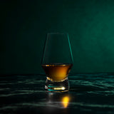 Raye Heavy Base Crystal Whiskey Tasting Glasses Set of 2